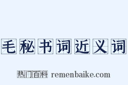 毛秘书词近义词是什么意思的图片
